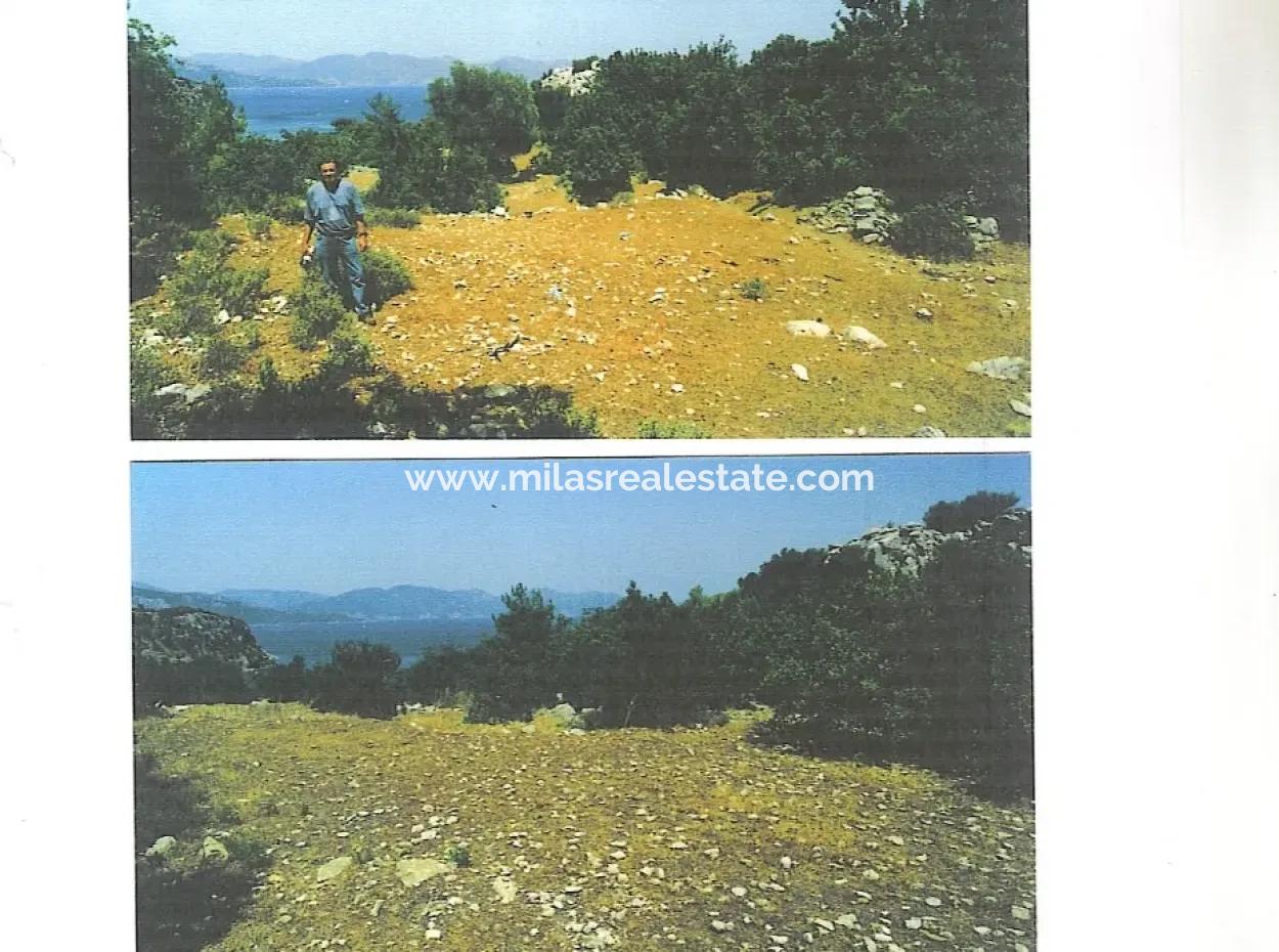 11000 M2 Mit Blick Auf Das Meer In Kumlubük Bucht Zum Verkauf