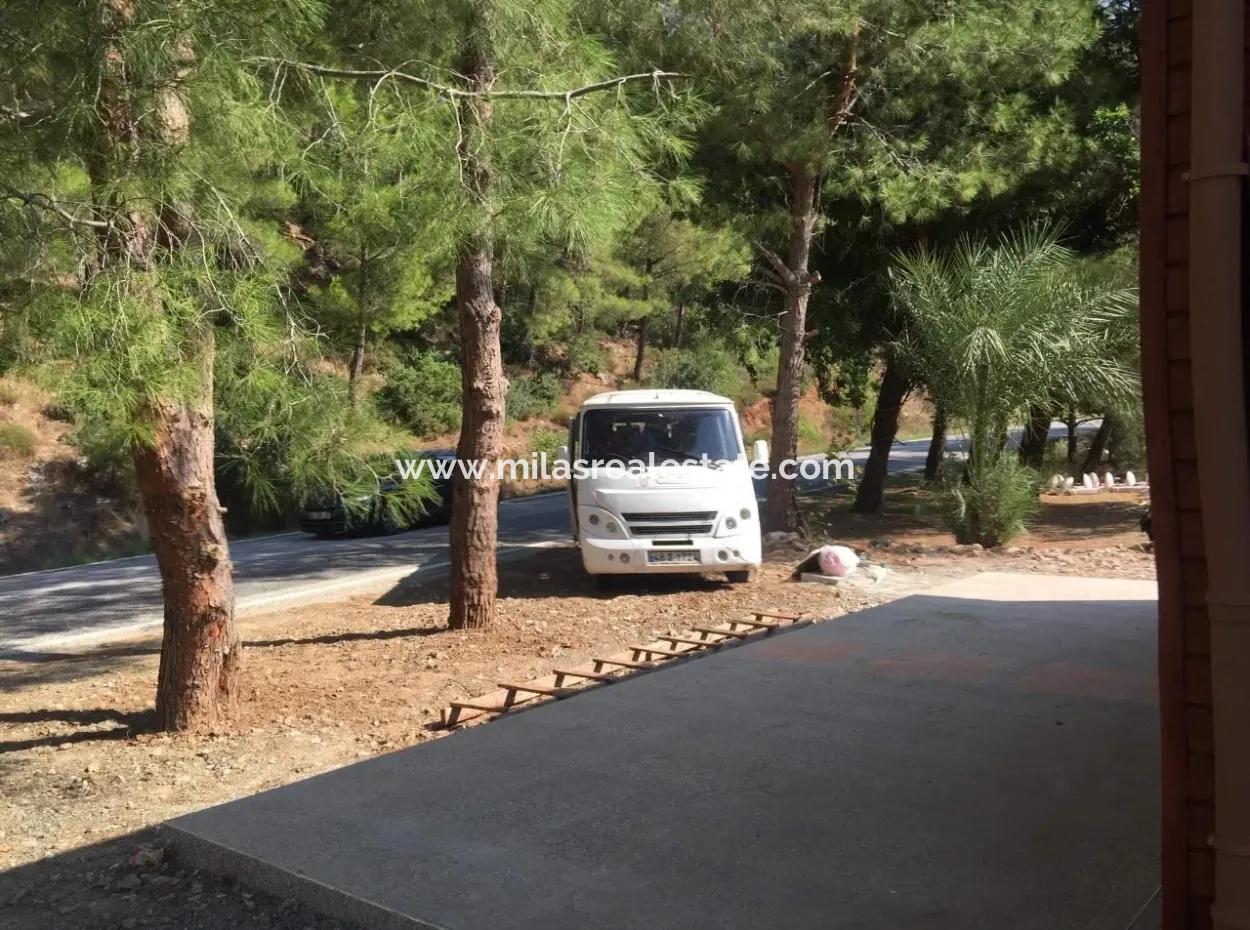 Wohnung Zum Verkauf In Turgut Dorf, Sowohl Am Arbeitsplatz Und Auf Der Straße Für Verkauf, 1 Zimmer, 1 Wohnzimmer