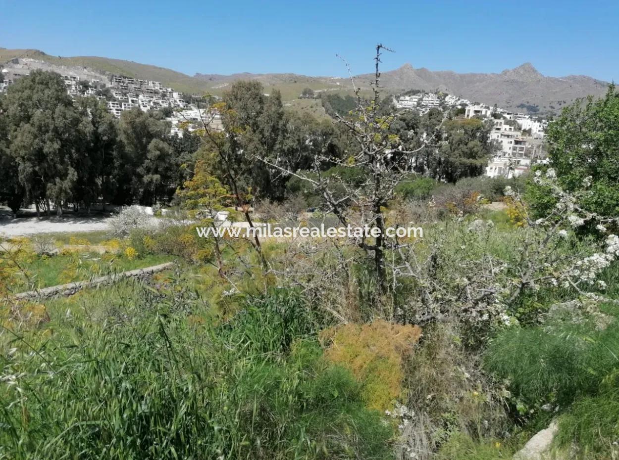 Grundstück Zu Verkaufen Mit 4000M2 Touristischen Entwicklung Am Meer In Bodrum Akyarlar