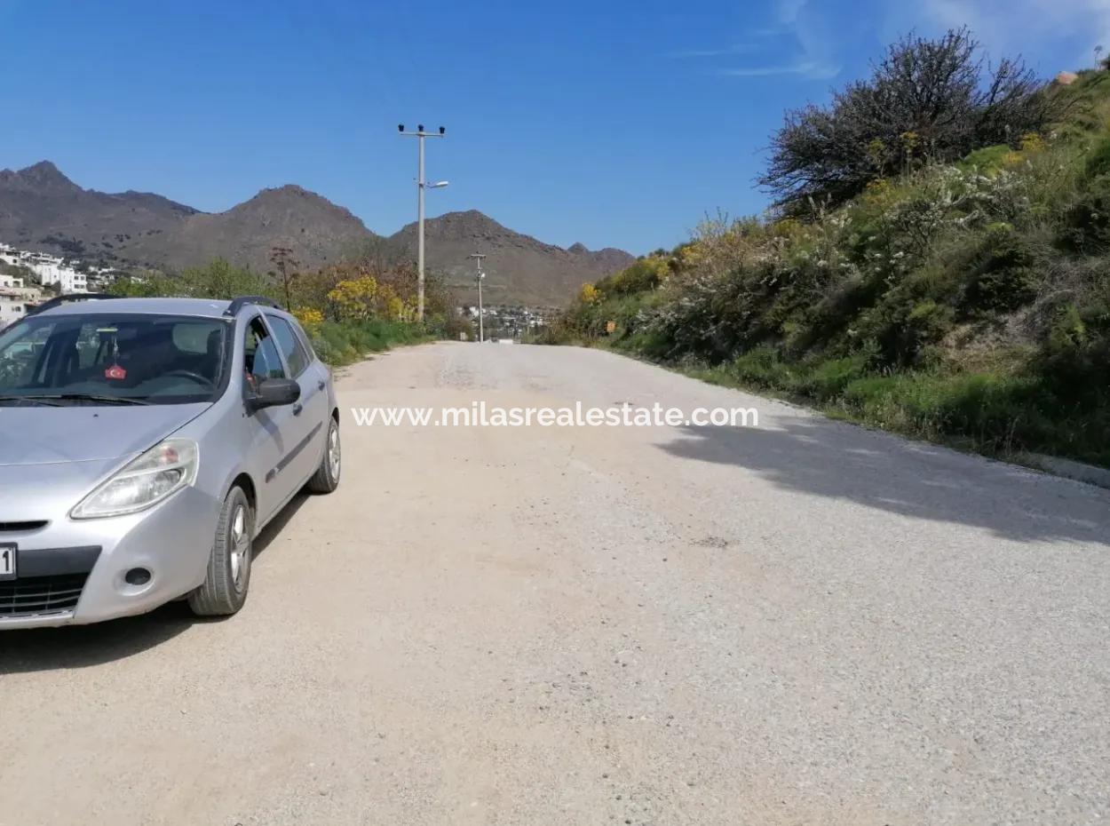 Grundstück Zu Verkaufen Mit 4000M2 Touristischen Entwicklung Am Meer In Bodrum Akyarlar