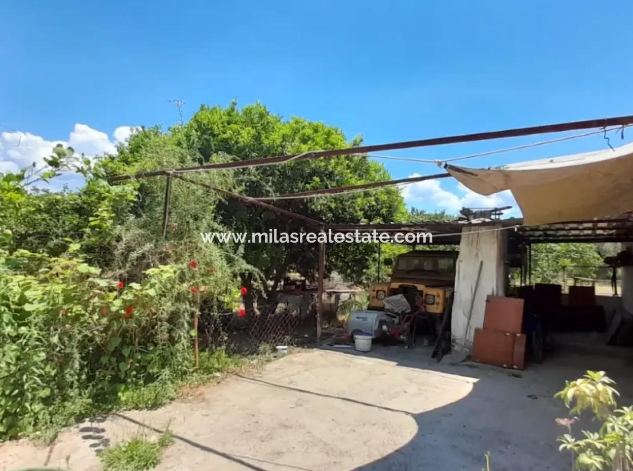 13000M2 Bauernhaus Geeignet, Um Ein Boutique-Hotel 3 Km Von Akyaka Zentrum Gökkova Kitesurfe 1 Km Entfernt Zu Sein