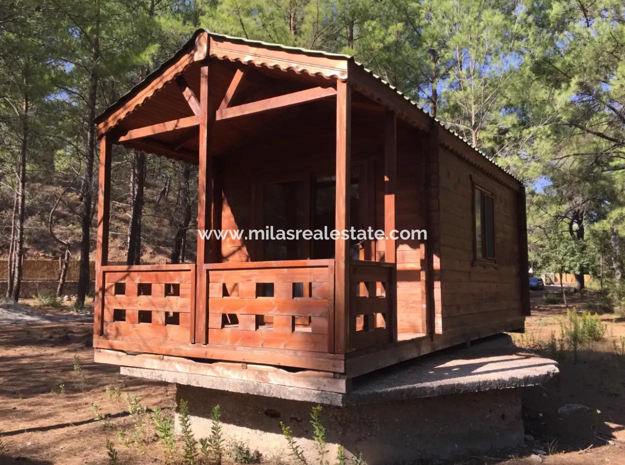 Grundstück Zum Verkauf Geeignet Für Bungalowhotel Auf 7500M2 Grundstück In Der Bucht Von Bördübet