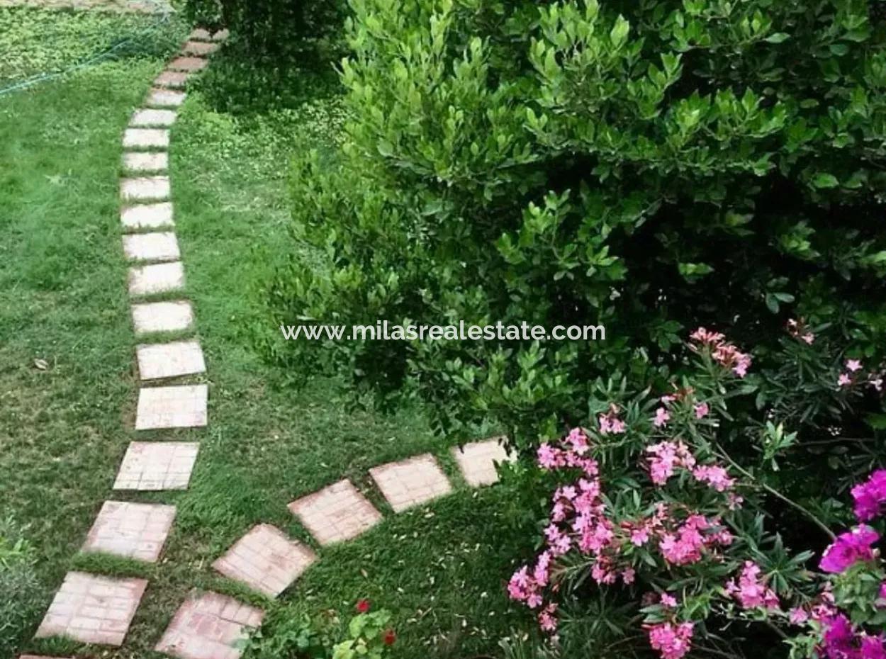 81000M2 Insel Zum Verkauf In Marmaris Region 31000M2 Eigentumsurkunde Offizieller Strom Wasser Verfügbar Herrenhaus Mit Legalem Haus Darin