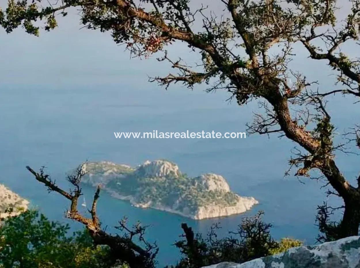 81000M2 Insel Zum Verkauf In Marmaris Region 31000M2 Eigentumsurkunde Offizieller Strom Wasser Verfügbar Herrenhaus Mit Legalem Haus Darin