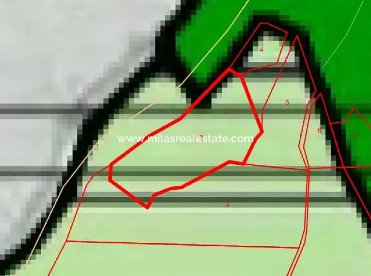 1600 M2 Bucht Am Meer Im Stadtteil Söğüt Des Bezirks Marmaris Von Immobilienmakler