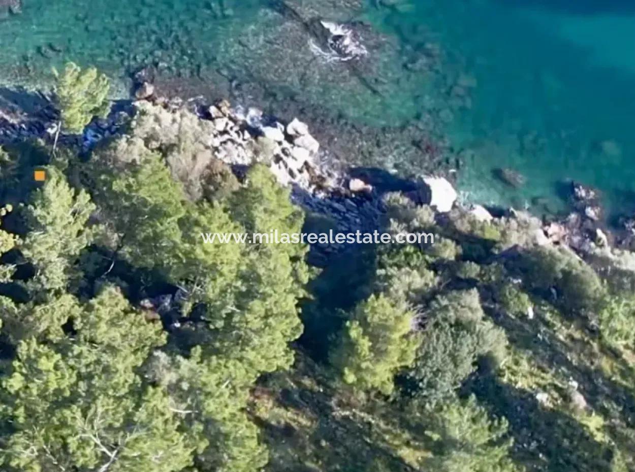 Marmaris Bezirk Turunc Nachbarschaft Meer 2354M2 Grundstück Zum Verkauf