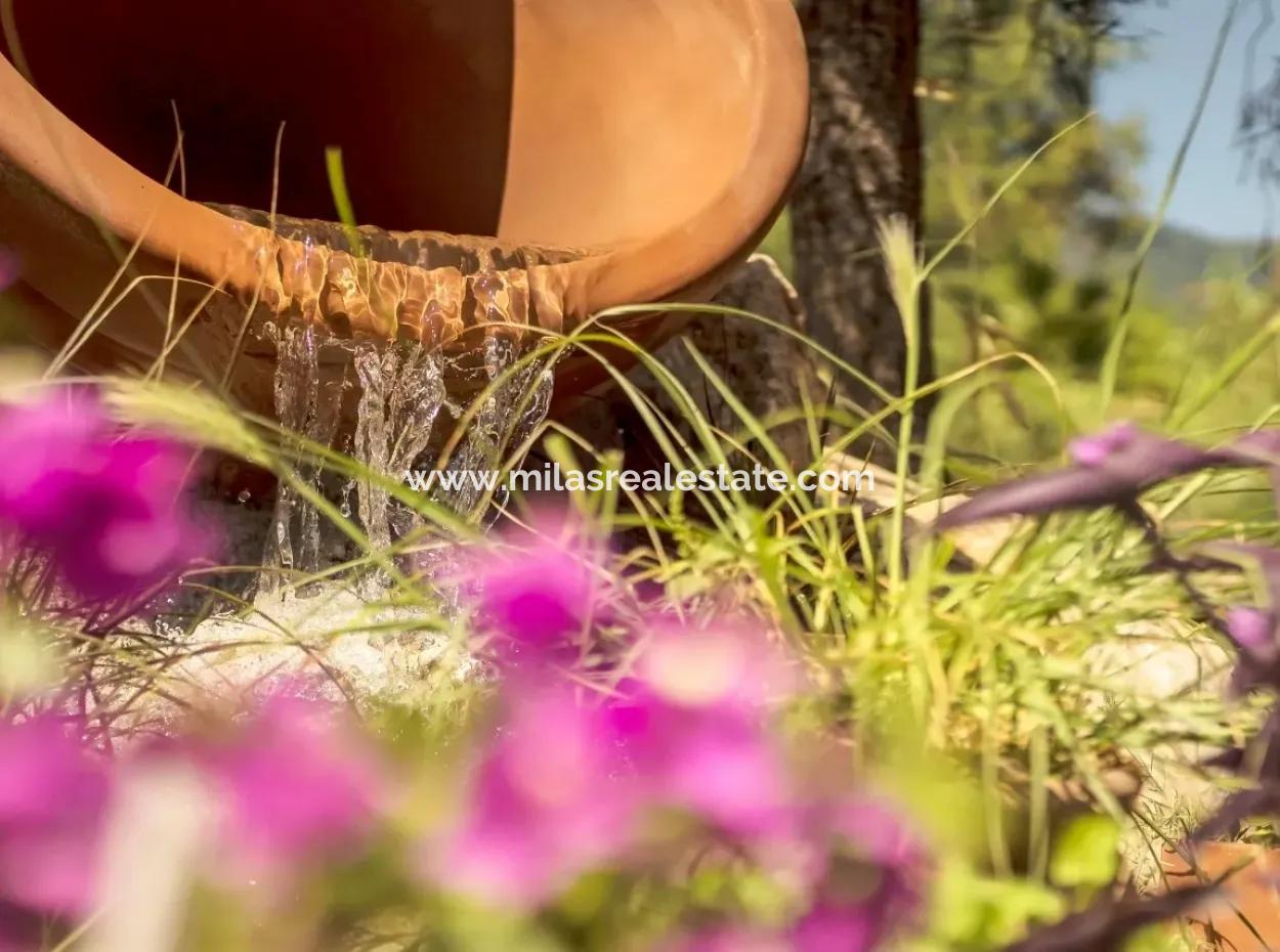 Für Den Verkauf Durch Das Meer In Einer Entfernung Von 20 Km Von Marmaris Boutique-Hotel, 20 Zimmer