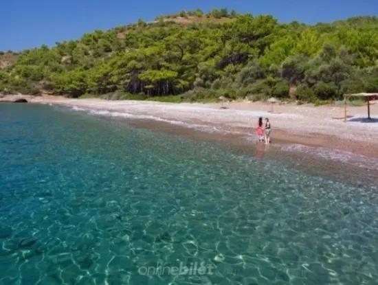 100000M2 Zonen Dorf 60 Km Vom Stadtzentrum Von Datca Zum Verkauf
