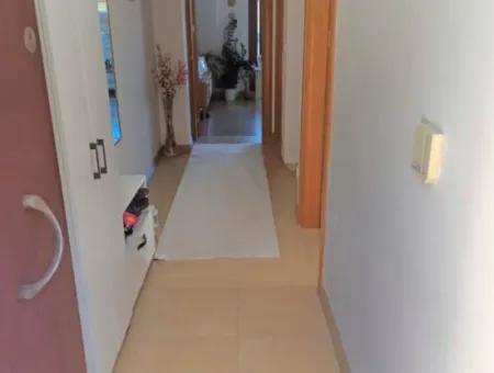 Camiavlu Neighborhood 3 1 Garten-Doppelhaus Mit Pool Zum Verkauf