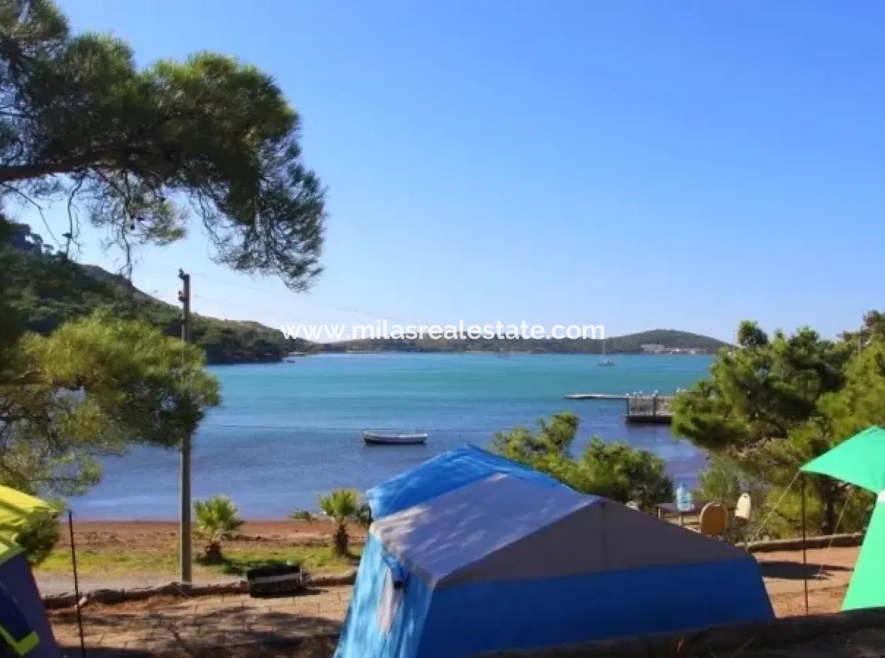 Is Bordubet Marmaris Sea Our Land Is 13000M2 At Bay Area Kitesurf For Sale.