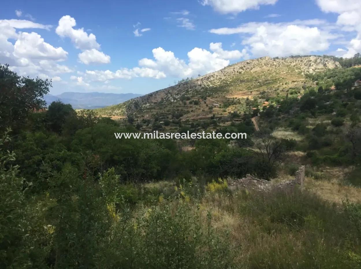 Akbuk, Mugla Province, County And Neighborhood Of The House In A Plot Of 3500 M2 In Zeytinkoy 2 Current Land Plot For Sale