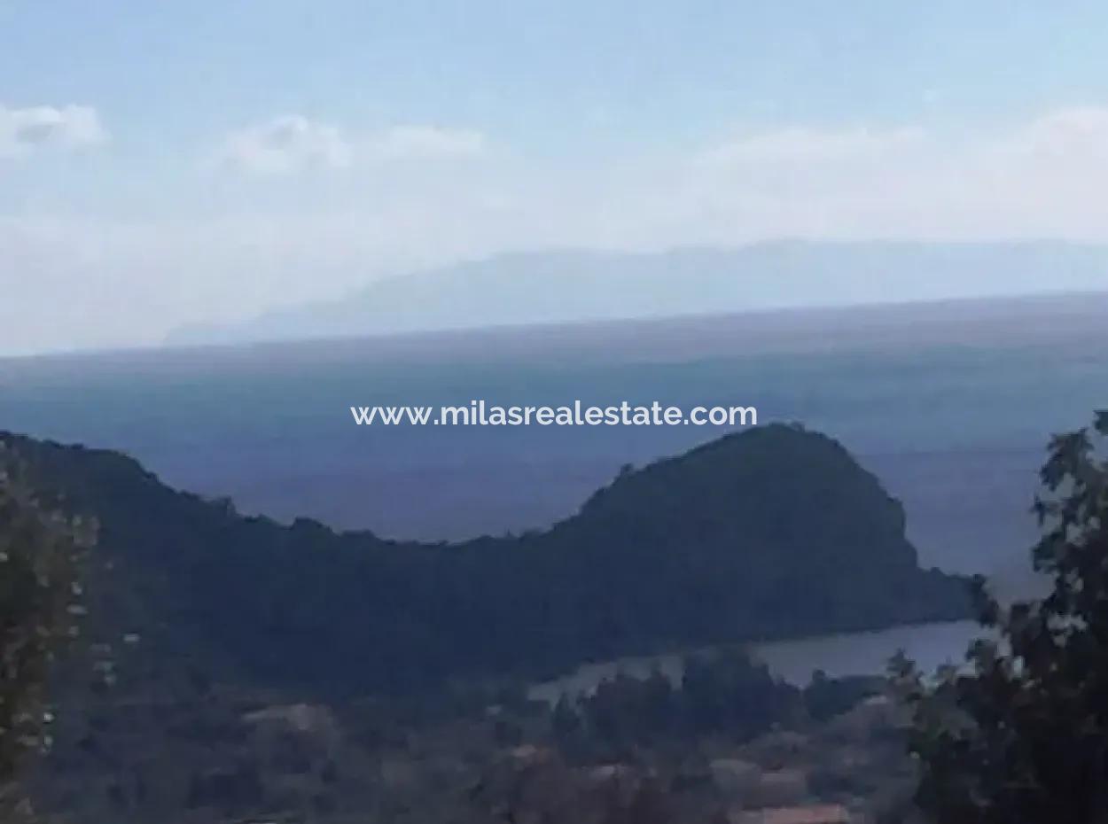 Land For Sale With Sea View With 52000M2 Parcel In Mugla Province Datca District Masoudye Neighborhood