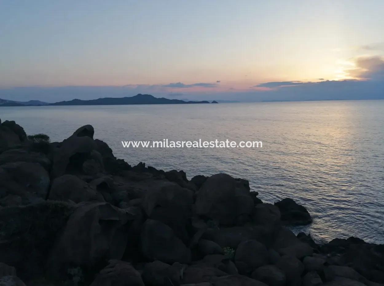 4600M2 Tourism Zoning Seafront Land For Sale In Bodrum Yalikavak District