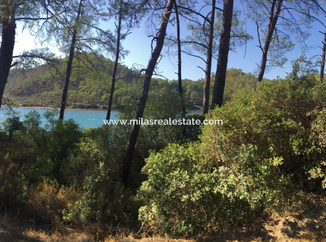 Land For Sale Suitable For Bungalow Hotel In 7500M2 Plot In Bördübet Bay