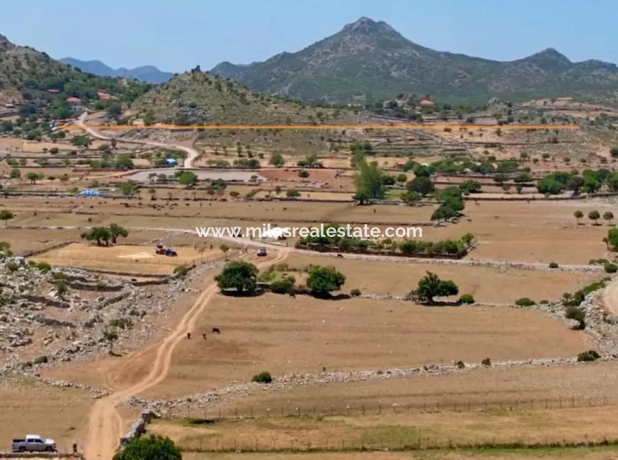 350M2 Field For Sale In Marmaris Söğüt Village Within Walking Distance Of The Sea