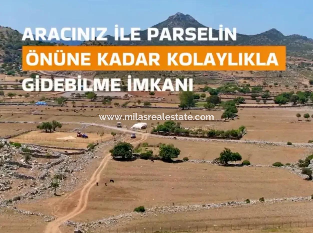 783M2 Land For Urgent Sale In Marmaris Taşlıca Neighborhood