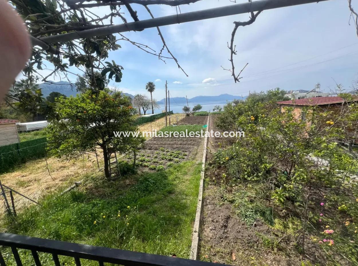 Detached House For Sale On 2000M2 Plot Of Land By The Sea In Marmaris Söğüt Neighborhood. Suitable For Tying A Boat In Front Of It.