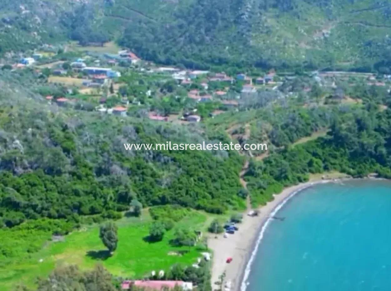 4000M2 Seafront Land For Sale In Hisaronu Bay, Marmaris