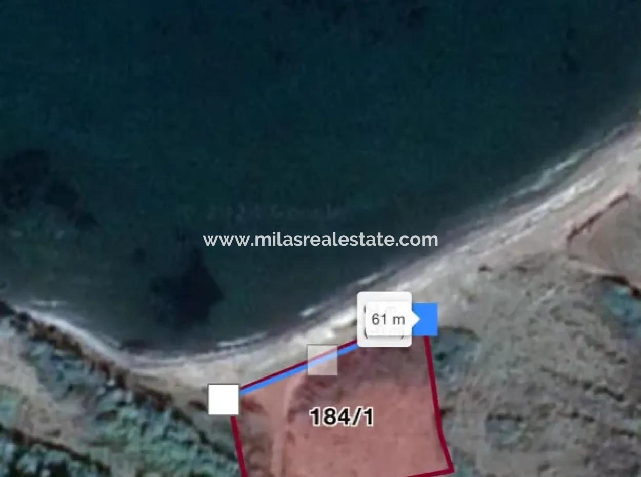 Seaside 4500M2 Suitable Land For Sale In Alavara Neighborhood Of Datça District