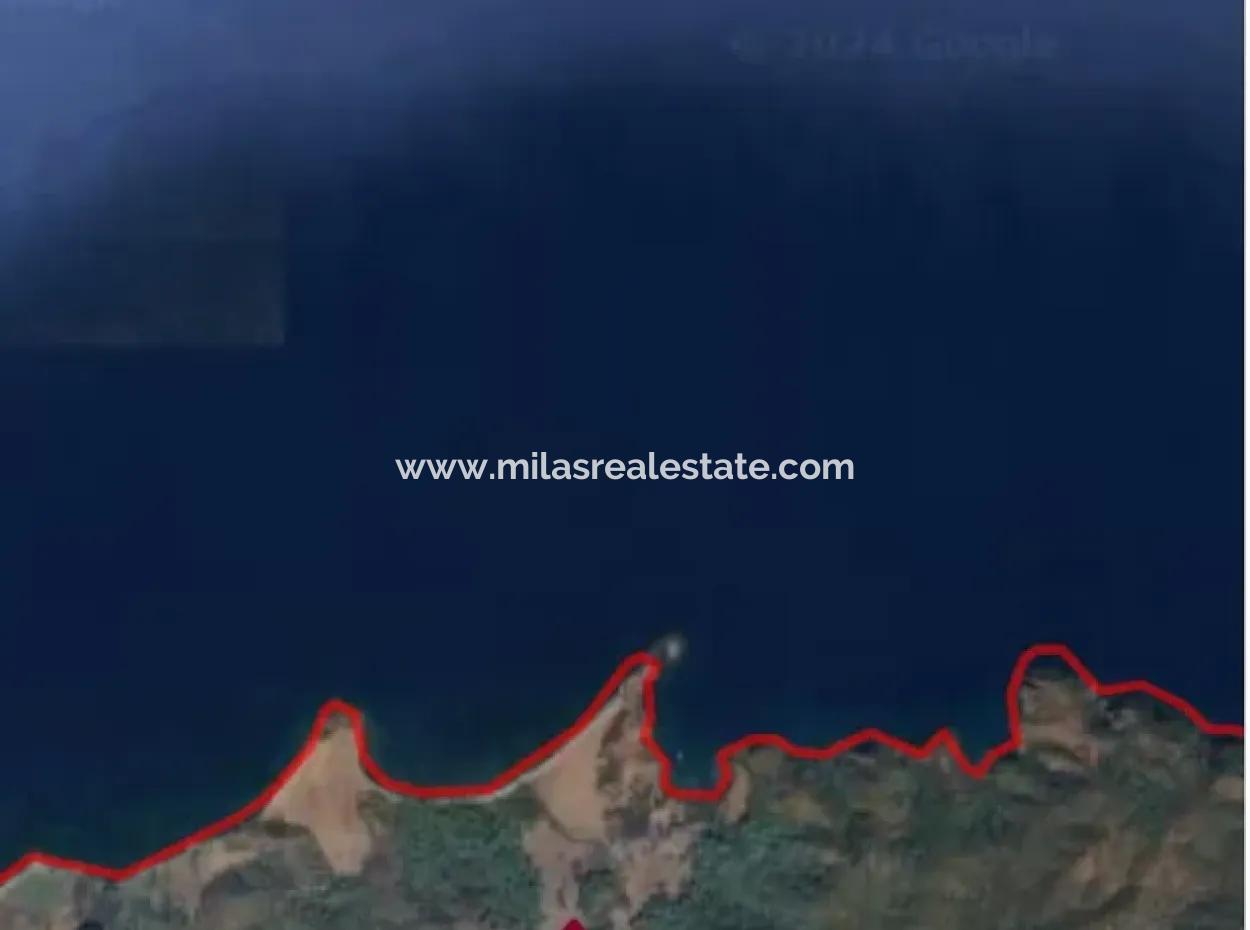 Land For Sale In Avlana Neighborhood Of Datca District Close To The Sea Of 5200M2 Suitable For Investment