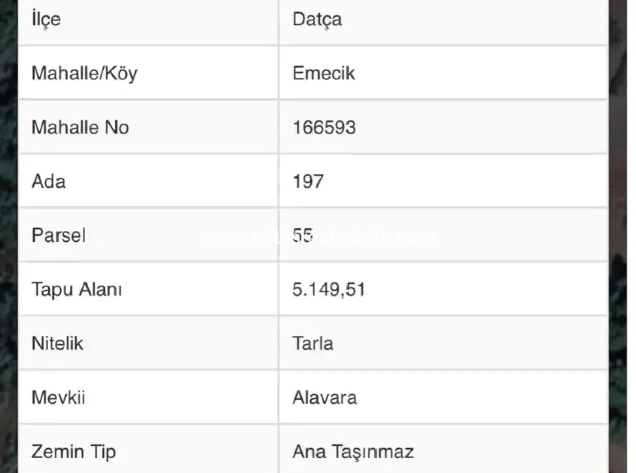 Land For Sale In Avlana Neighborhood Of Datca District Close To The Sea Of 5200M2 Suitable For Investment