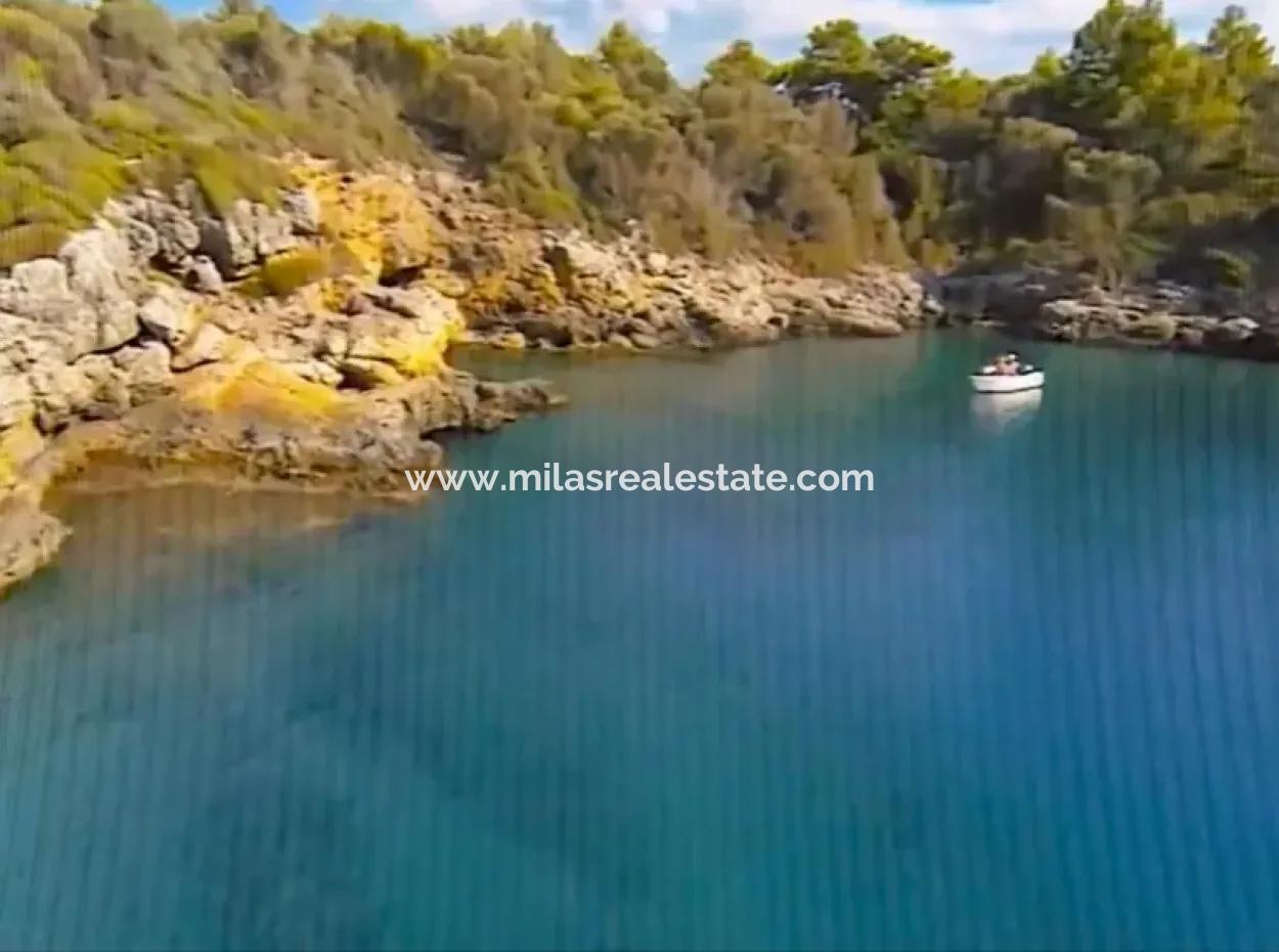 The Island For Sale In The Gulf Of Gökova In Marmaris District Has A Land Area Of 365000M2 And There Is A Registered House In It.