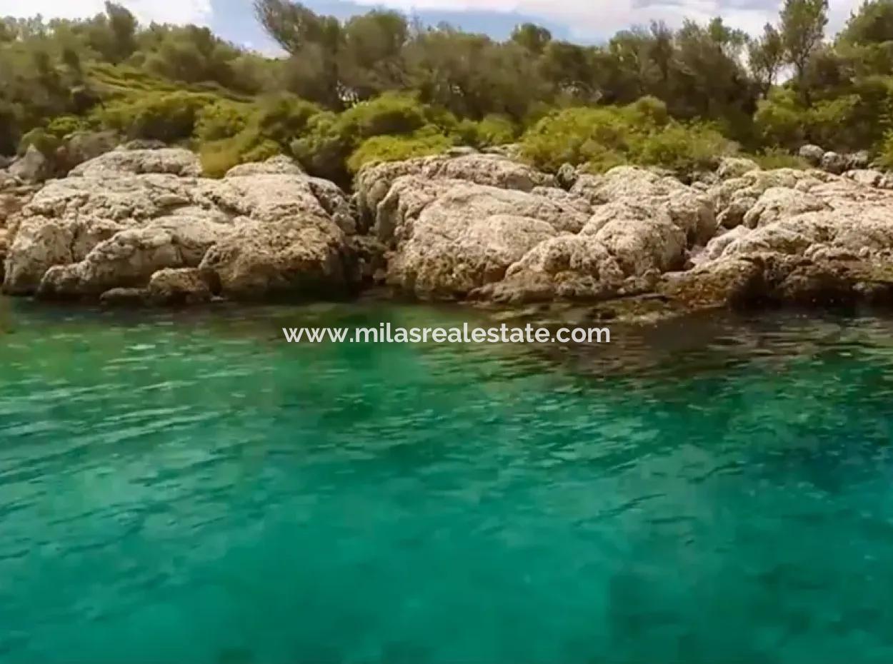 The Island For Sale In The Gulf Of Gökova In Marmaris District Has A Land Area Of 365000M2 And There Is A Registered House In It.