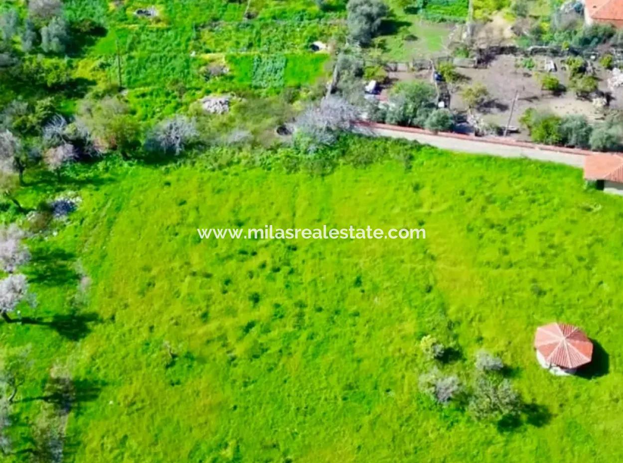 Land For Sale In Söğüt Village Of Marmaris District, 150 Meters To The Sea, 10000M2. It Can Be Used As A Camping Caravan Camping Area In The Tourism Area.
