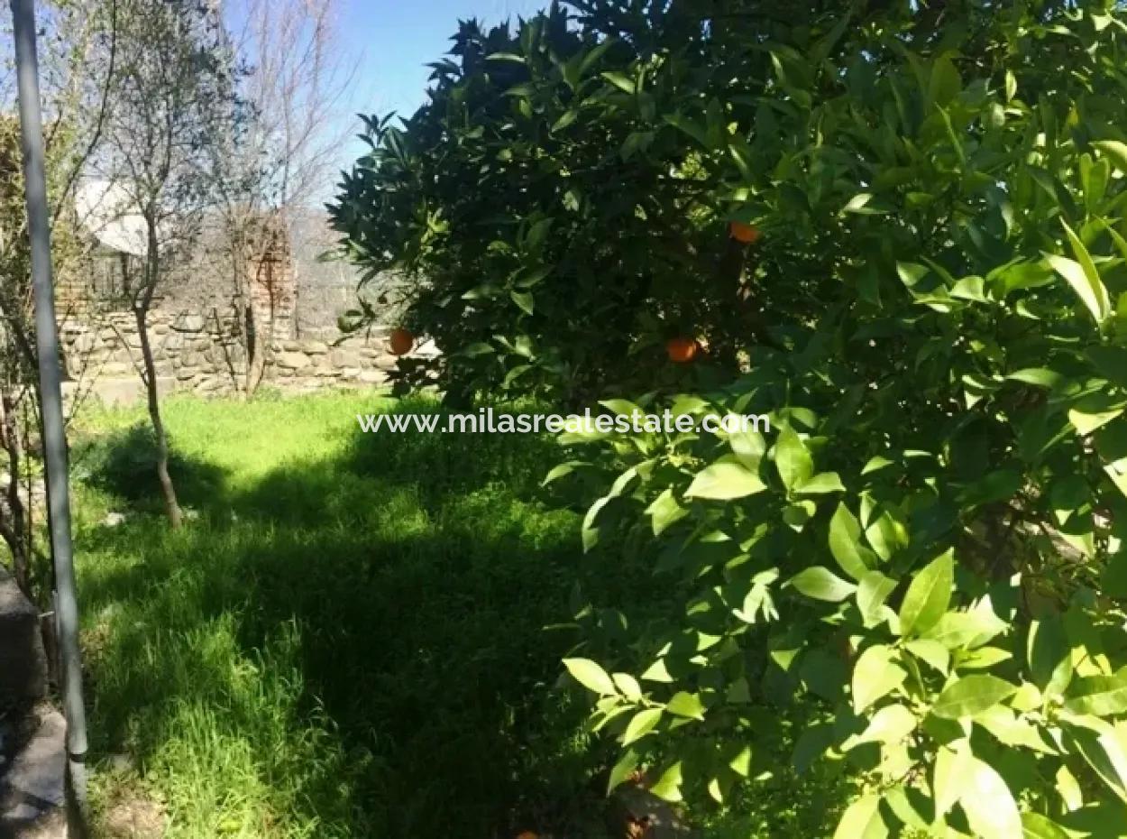 Stone Villa With Swimming Pool, 8 Rooms, 740M2 Plot For Sale In Gökova Region