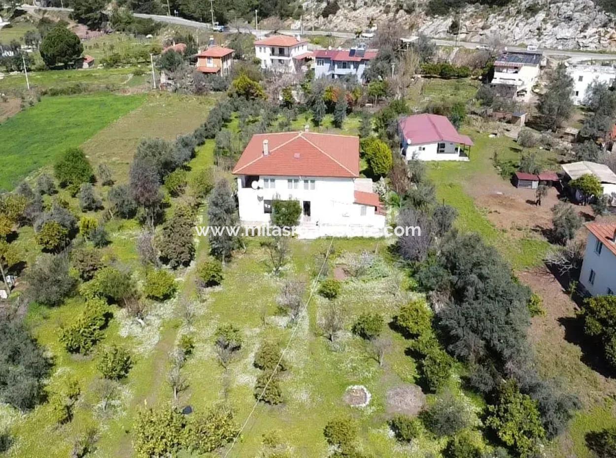 Farmhouse Among Olive Groves With 10 Rooms In A Plot Of 3700M2 Close To The Sea In The Orhaniye Neighborhood Of Marmaris From The Real Estate Agent