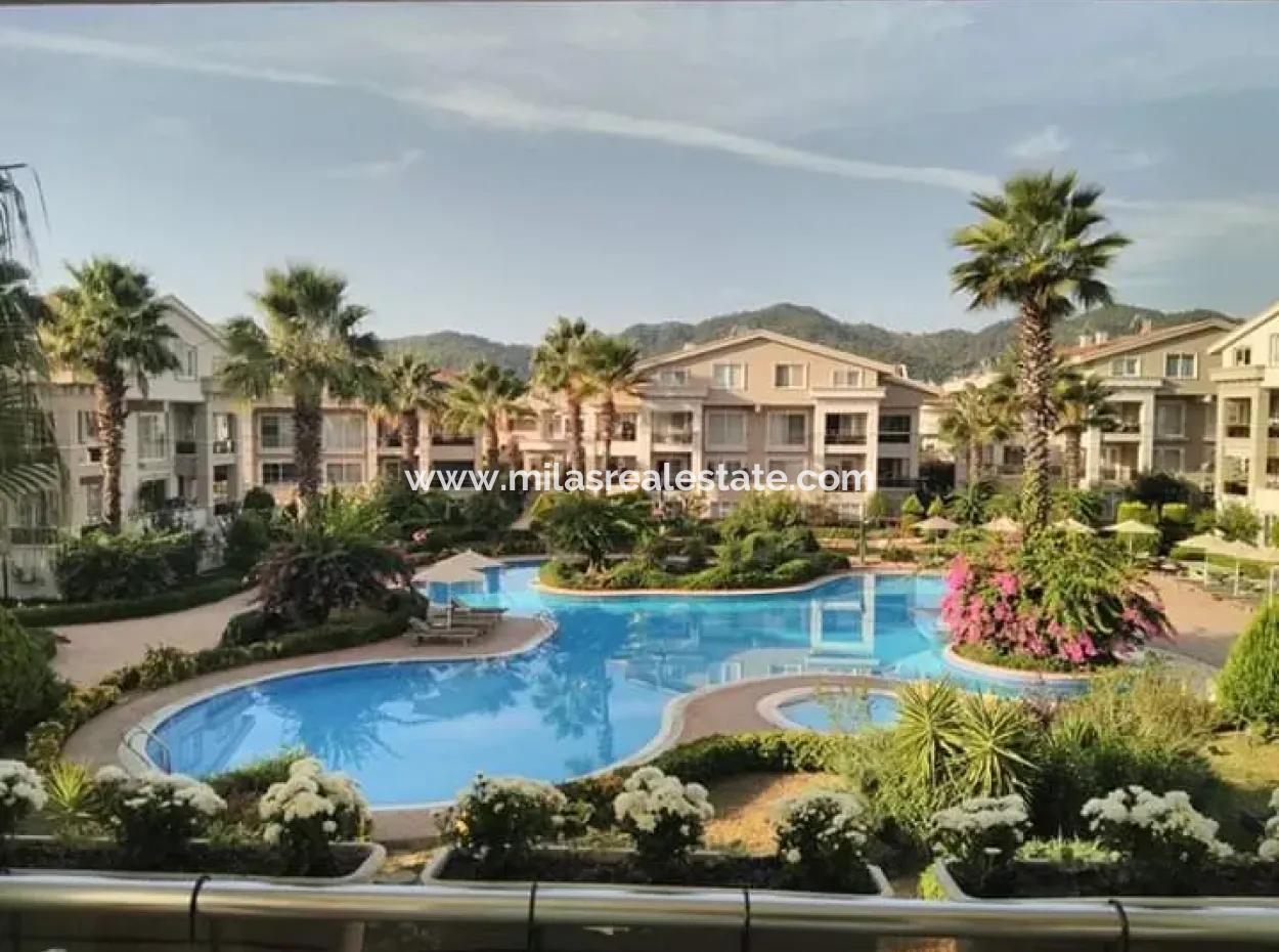 3 1 Furnished-Unfurnished Flat For Rent In Camiavlu Neighborhood Secure Site With Pool