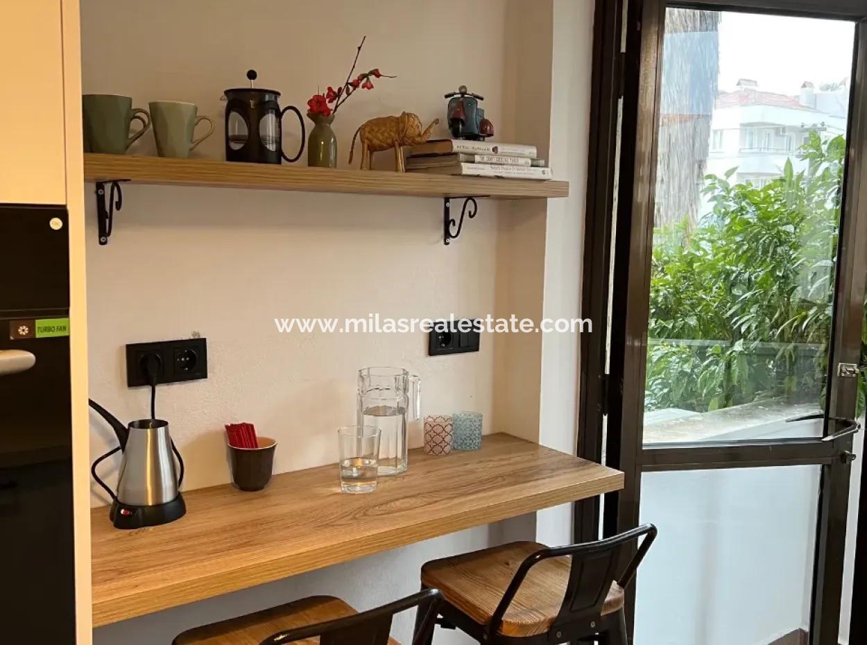 Kemeraltı Neighborhood 2 1 Furnished Flat For Rent