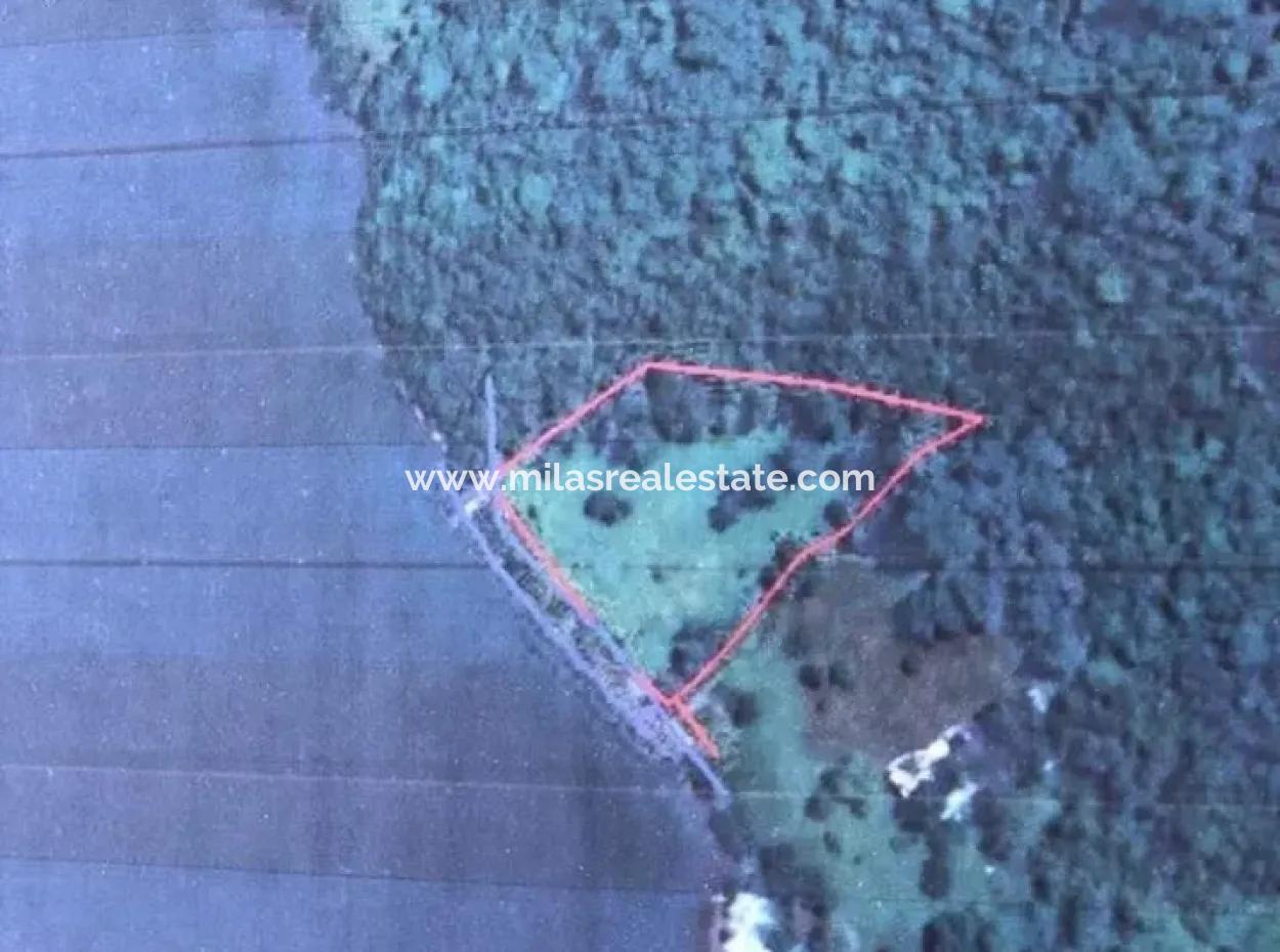 The Land For Sale From Marmaris Near The Sea Plot Hotels,Marina,Yacht Club Land 4000 M2