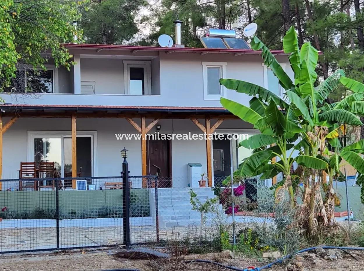 Ortaca Neighborhood For Sale 10.000 M2 Custom Made Farmhouse With Pool