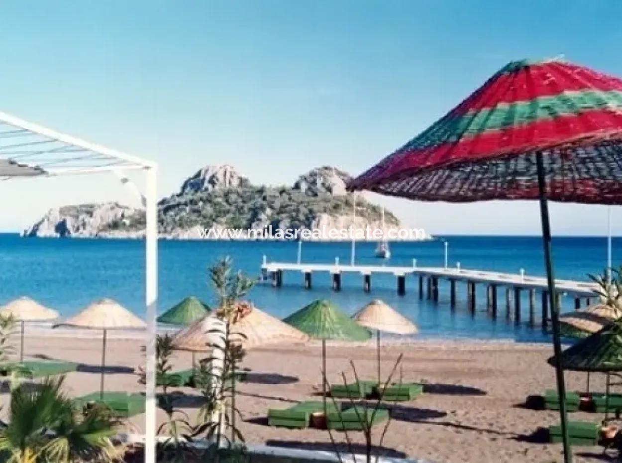 Seaside Boutique Hotel For Sale In Yacht Club Is Built On A Plot Of 12000 M2