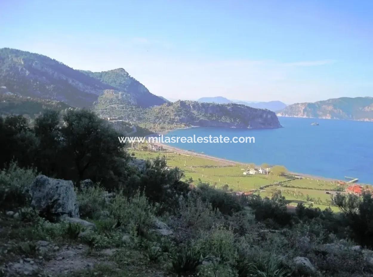 Kumlubük Koyunda Denize Sıfır 21000M2 Marina Ve Otel Arsası Satılık