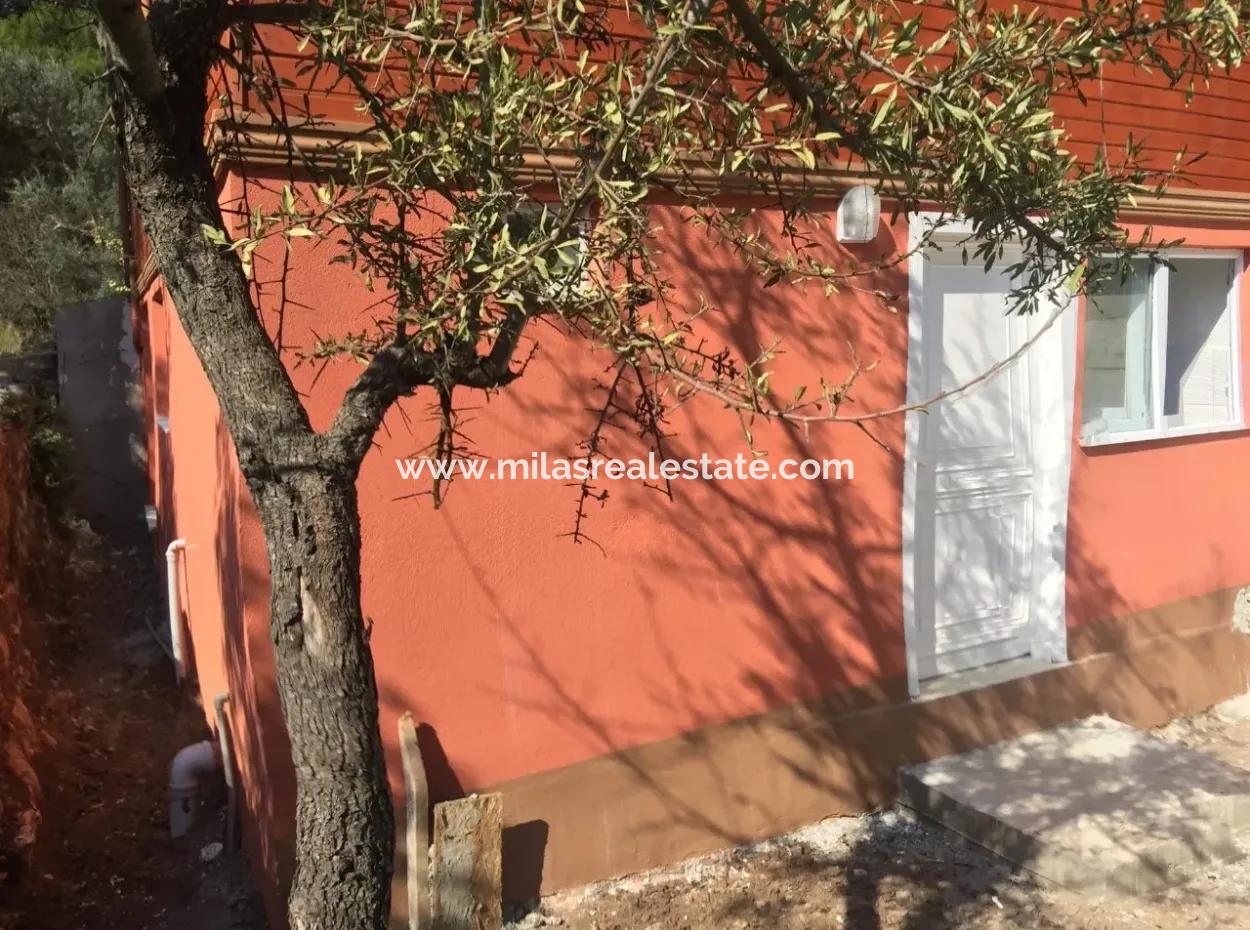 Turgut Köyünde Cadde Üzeri Satılık Hem İşyeri Hem 1 Oda 1 Salon Satılık Daire