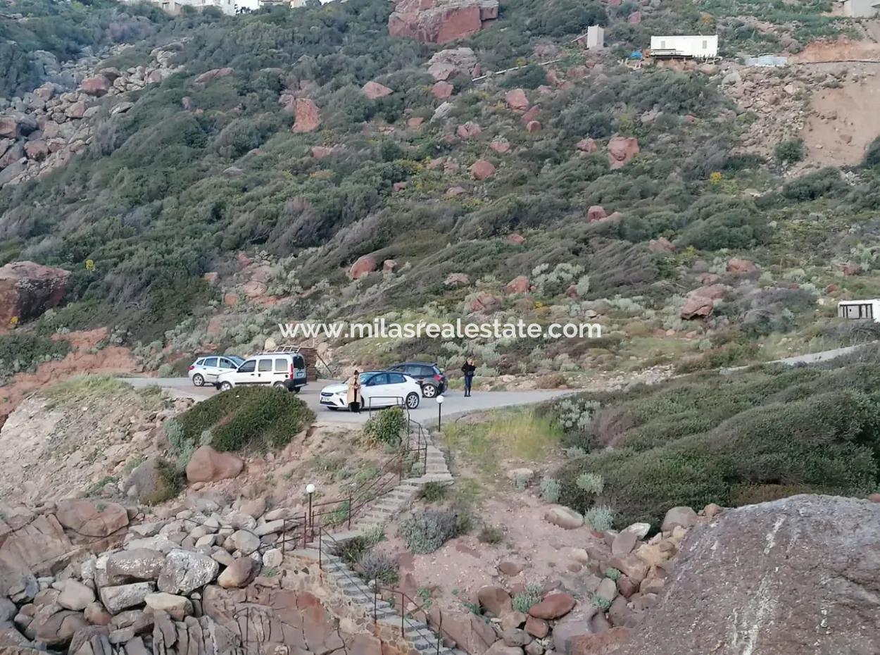 Bodrum Yalıkavak İlçesinde 4600M2 Turizm İmarlı Denize Sıfır Satılık Arsa