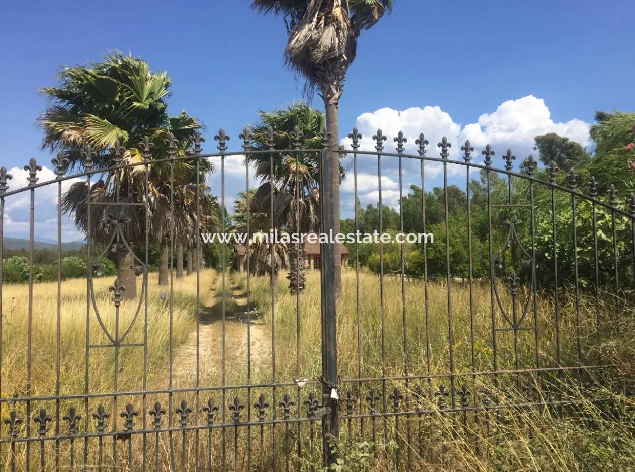 Muğla Gökova Körfezinde 26000M2Arsa Üzerine Kurulu Muhteşem Satılık Çiftlik