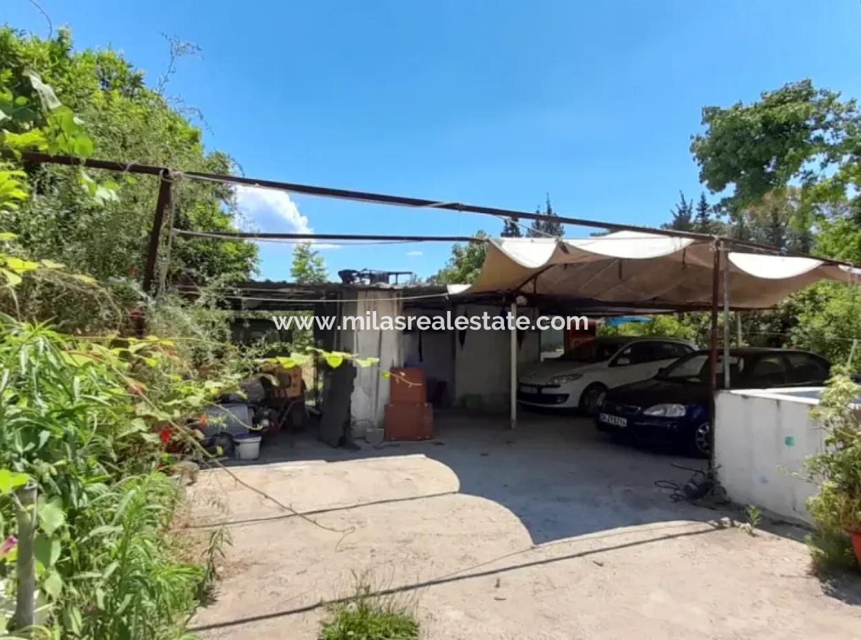 Akyaka Merkeze 3 Km Gökkova Kitesurfe 1 Km Mesafede Butik Otel Olmaya Müsait 13000M2 Çiftlik Evi