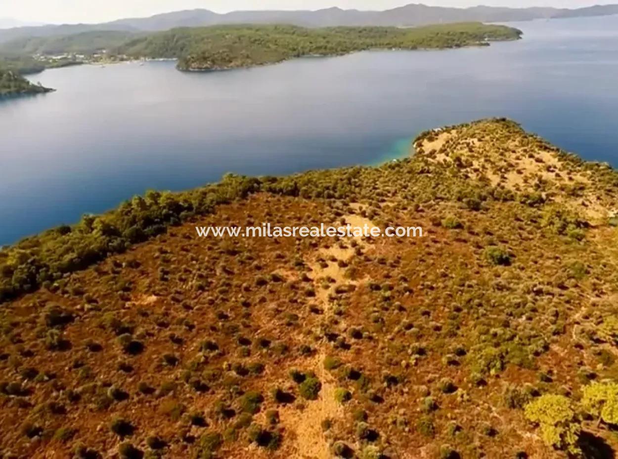 Marmaris İlçesi Gökova Körfezinde  Satılık Ada  365000M2 Arsa Alanına Sahip Olup İçerisinde Kayıtlı Ev Bulunmaktadır.