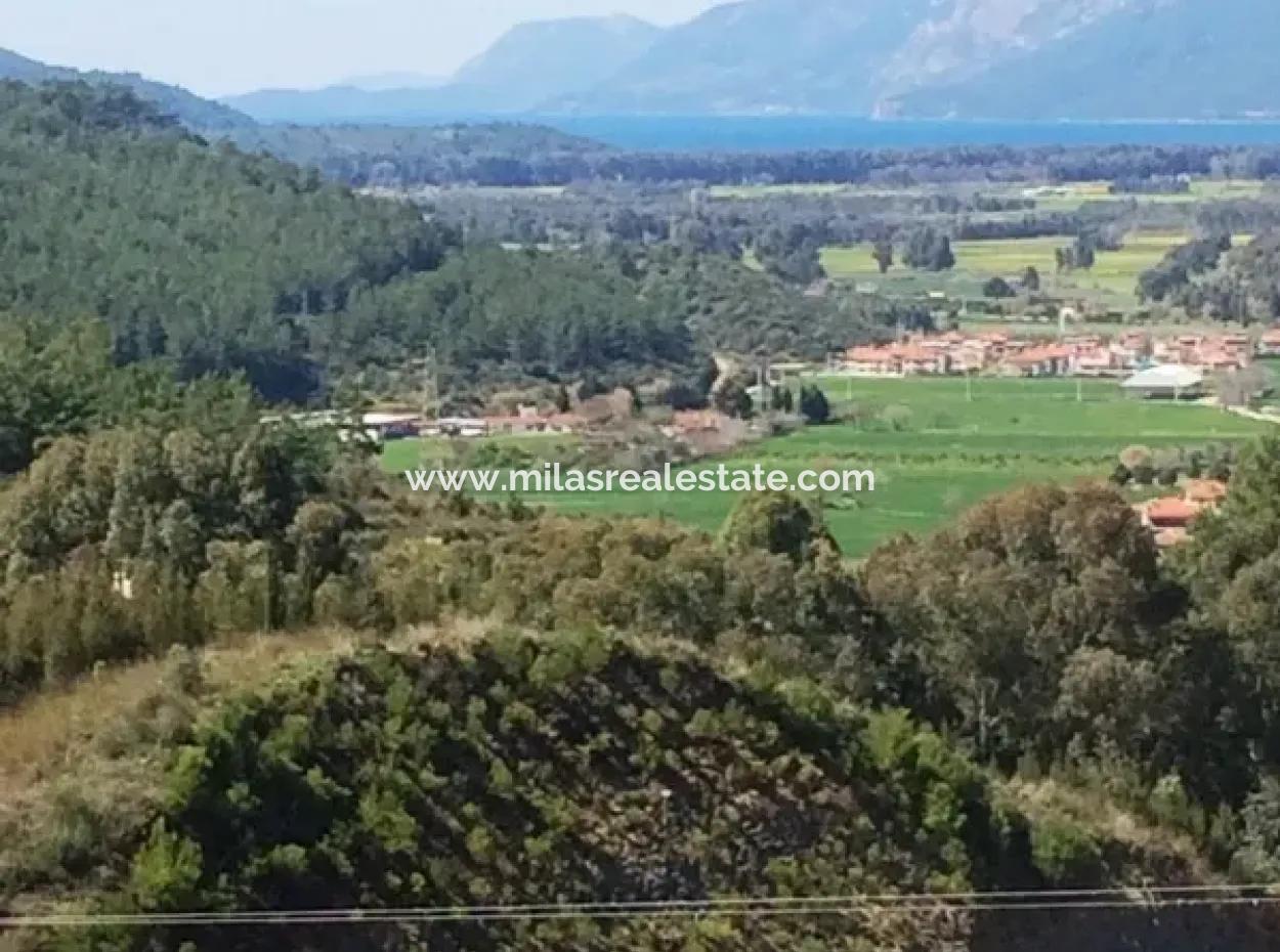 Gökova Bölgesinde Satılık Yüzme Havuzlu 8 Oda Taş Villa 740M2 Arsa