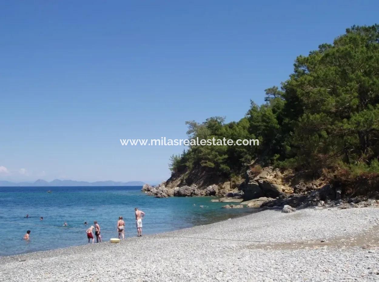 Marmaris Bölgesinde 5 Yıldızlı Otel  Yatırımına Uygun Arsa Satılık