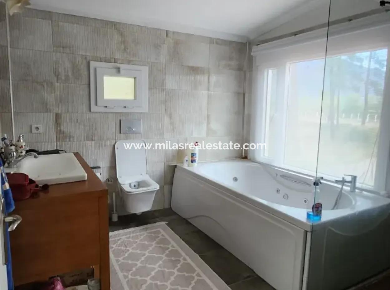 Ortaca Mahallesi Satılık 10.000 M2 İçerisinde Özel Yapım Havuzlu Çiftlik Evi