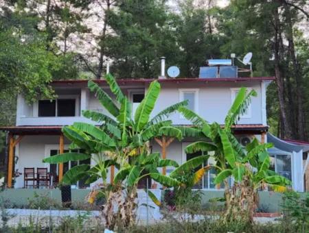 Ortaca Mahallesi Satılık 10.000 M2 İçerisinde Özel Yapım Havuzlu Çiftlik Evi